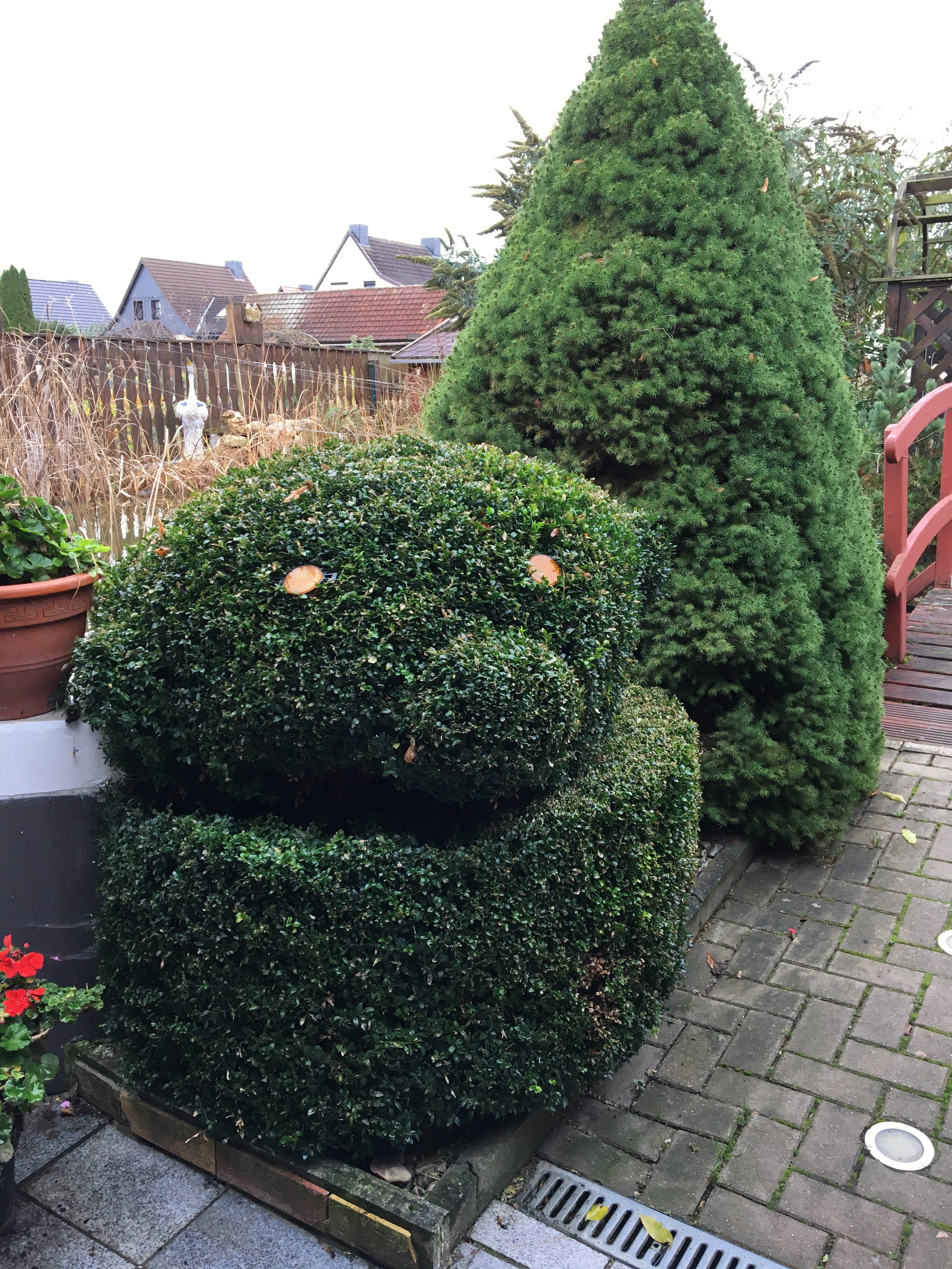 Gartenarbeiten im November