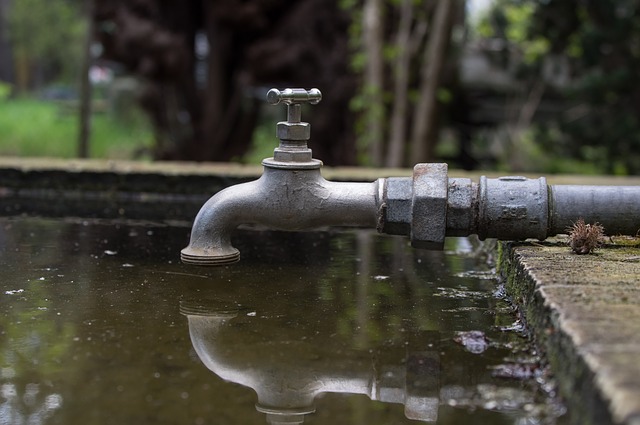 An alle Gartenfreunde – Überprüfung Wasserleitung