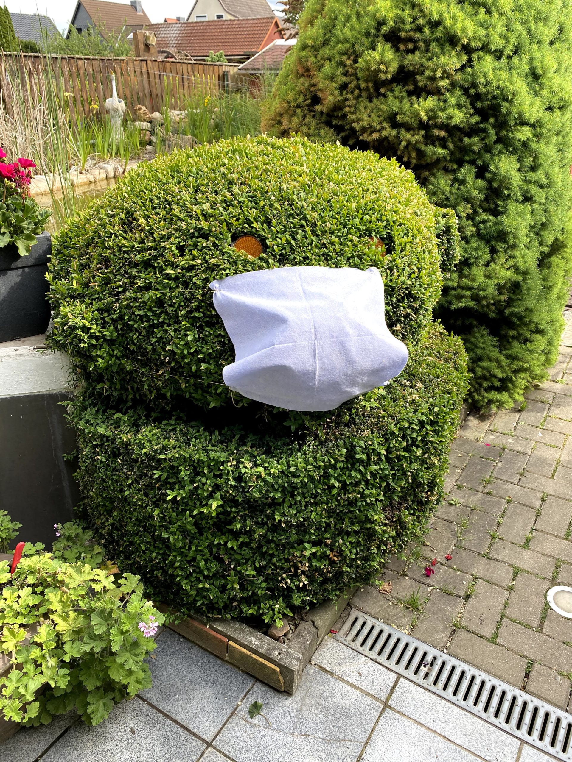 Unsere Arbeiten im Juni!