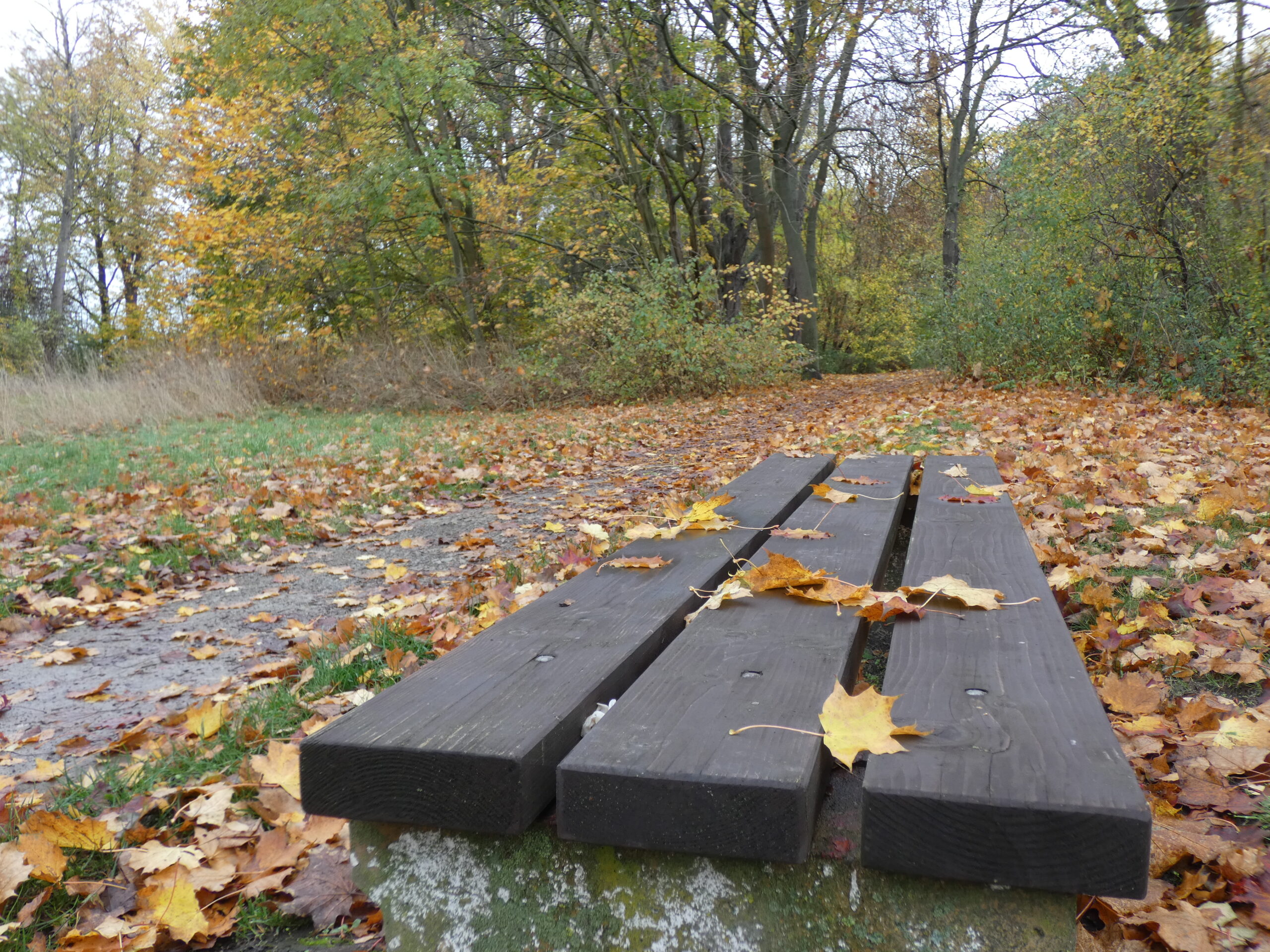 Was liegt im November an Arbeiten an?