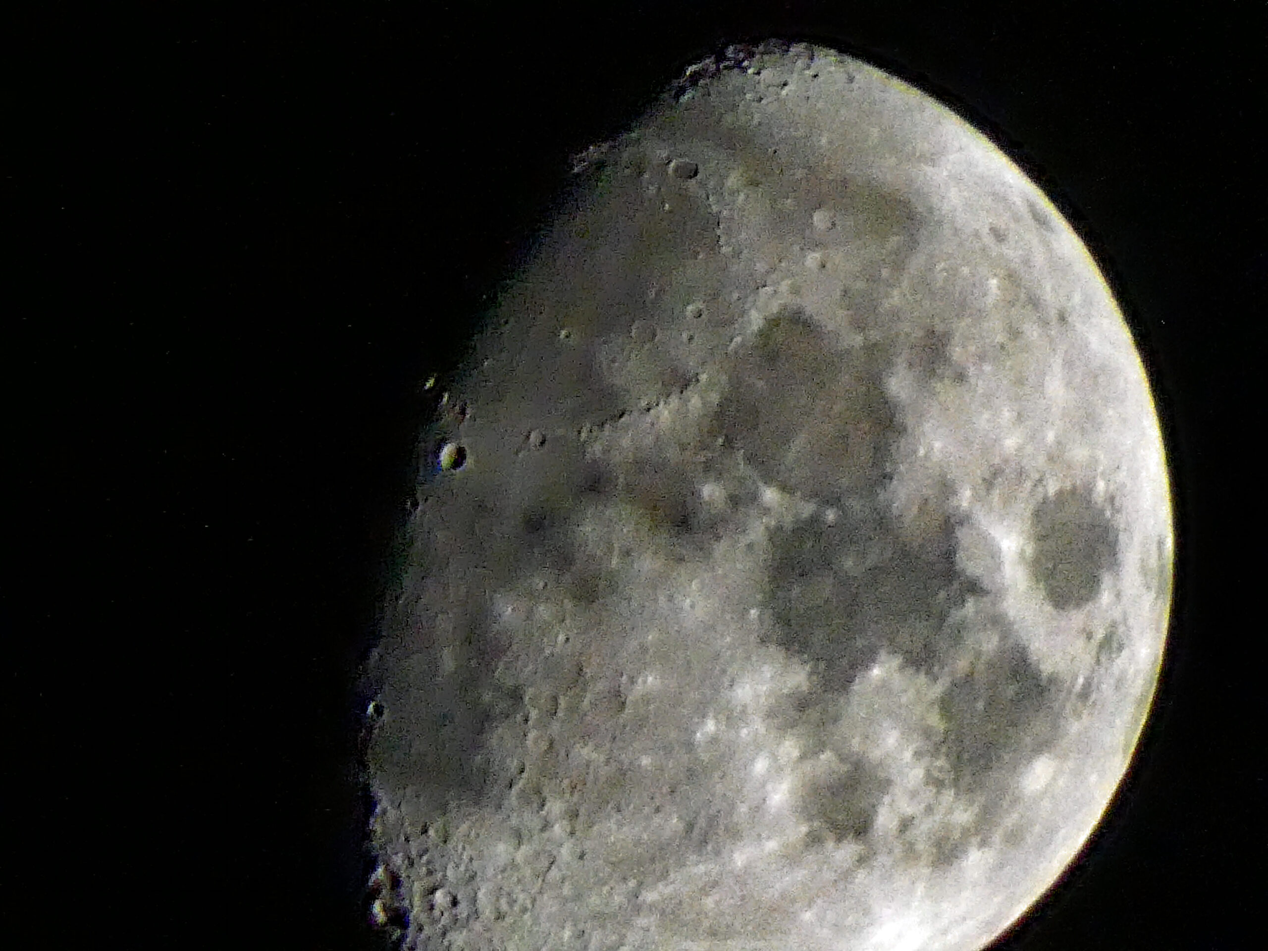 Mondkalender: Gärtnern nach dem Mond
